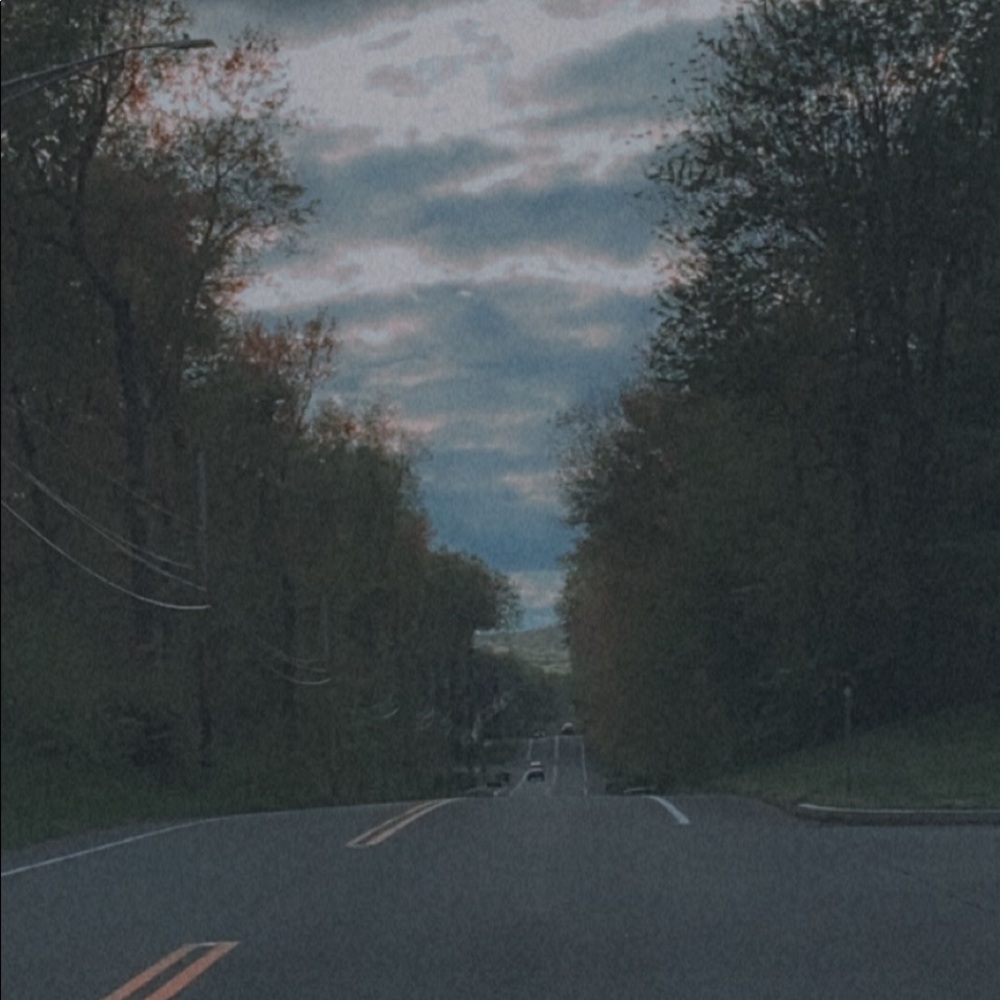 Meet your Posher, Sophie